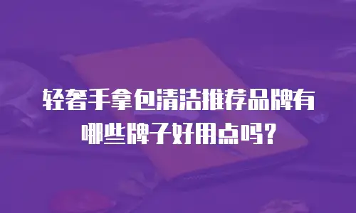 轻奢手拿包清洁推荐品牌有哪些牌子好用点吗？
