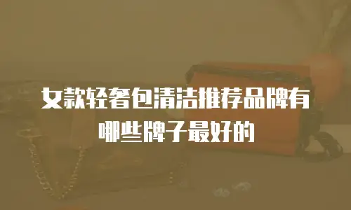 女款轻奢包清洁推荐品牌有哪些牌子最好的