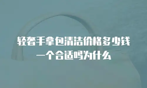 轻奢手拿包清洁价格多少钱一个合适吗为什么
