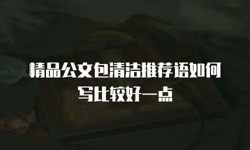 精品公文包清洁推荐语如何写比较好一点