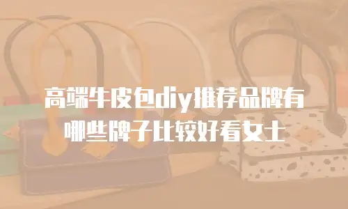 高端牛皮包diy推荐品牌有哪些牌子比较好看女士