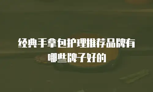 经典手拿包护理推荐品牌有哪些牌子好的