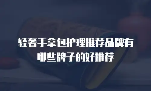 轻奢手拿包护理推荐品牌有哪些牌子的好推荐