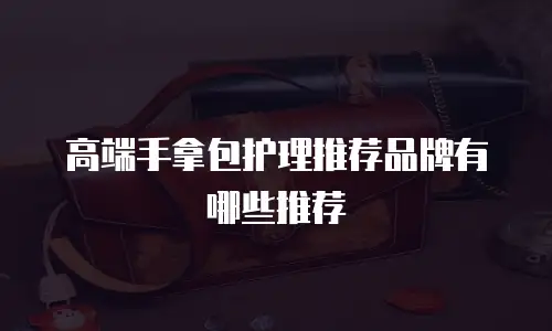 高端手拿包护理推荐品牌有哪些推荐
