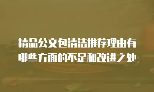 精品公文包清洁推荐理由有哪些方面的不足和改进之处