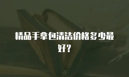 精品手拿包清洁价格多少最好？
