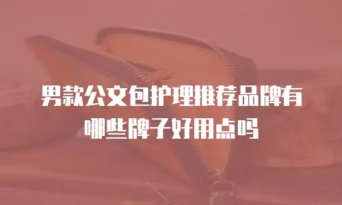 男款公文包护理推荐品牌有哪些牌子好用点吗