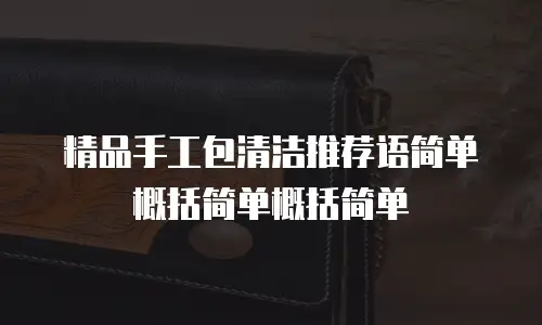 精品手工包清洁推荐语简单概括简单概括简单