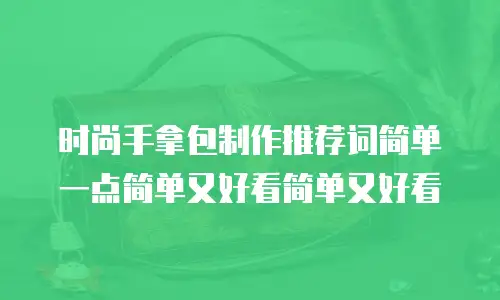 时尚手拿包制作推荐词简单一点简单又好看简单又好看