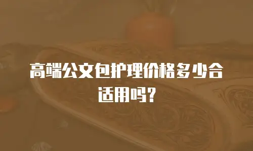 高端公文包护理价格多少合适用吗？