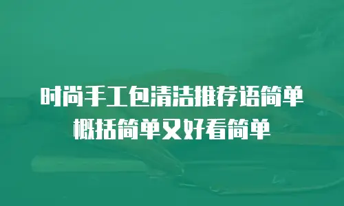 时尚手工包清洁推荐语简单概括简单又好看简单