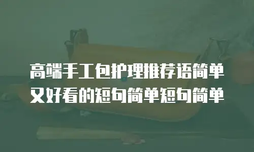 高端手工包护理推荐语简单又好看的短句简单短句简单
