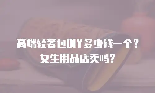 高端轻奢包DIY多少钱一个？女生用品店卖吗？