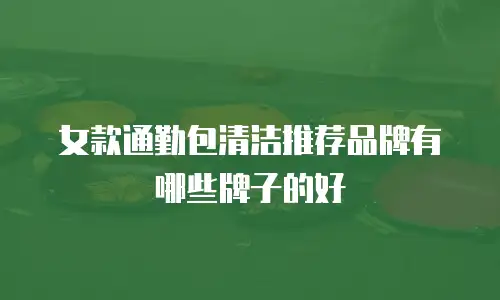 女款通勤包清洁推荐品牌有哪些牌子的好