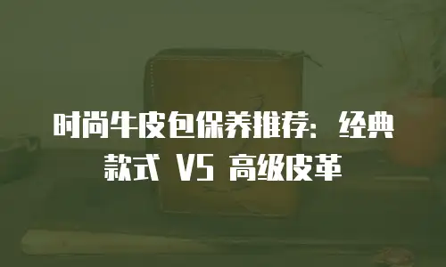 时尚牛皮包保养推荐：经典款式 VS 高级皮革
