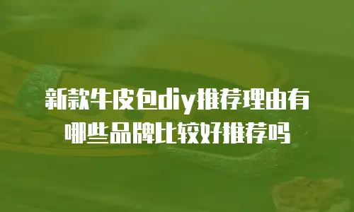 新款牛皮包diy推荐理由有哪些品牌比较好推荐吗