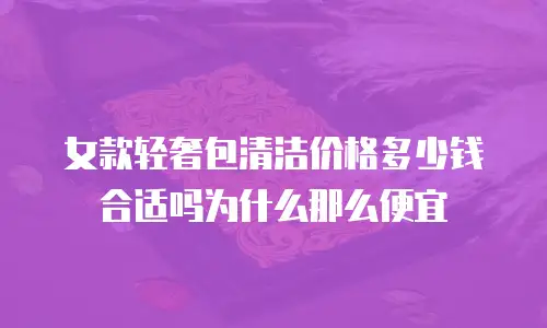 女款轻奢包清洁价格多少钱合适吗为什么那么便宜