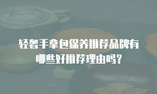 轻奢手拿包保养推荐品牌有哪些好推荐理由吗？
