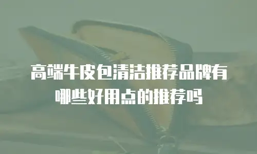 高端牛皮包清洁推荐品牌有哪些好用点的推荐吗