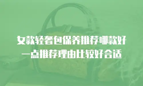 女款轻奢包保养推荐哪款好一点推荐理由比较好合适