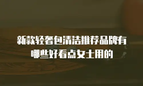 新款轻奢包清洁推荐品牌有哪些好看点女士用的