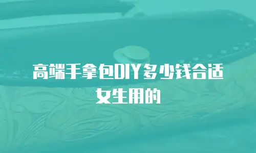 高端手拿包DIY多少钱合适女生用的