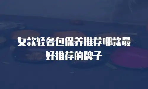 女款轻奢包保养推荐哪款最好推荐的牌子