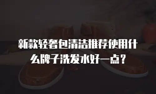 新款轻奢包清洁推荐使用什么牌子洗发水好一点？