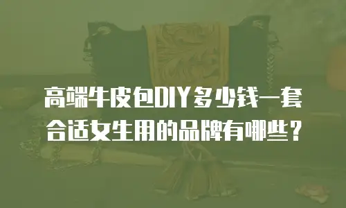 高端牛皮包DIY多少钱一套合适女生用的品牌有哪些？