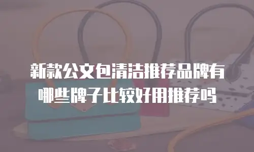 新款公文包清洁推荐品牌有哪些牌子比较好用推荐吗