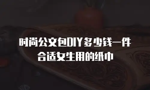 时尚公文包DIY多少钱一件合适女生用的纸巾