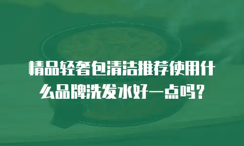 精品轻奢包清洁推荐使用什么品牌洗发水好一点吗？