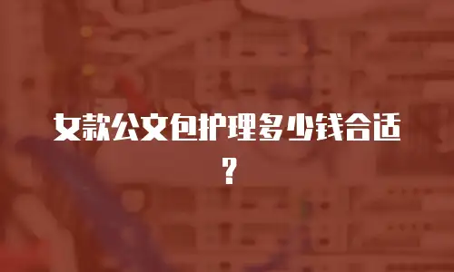 女款公文包护理多少钱合适？