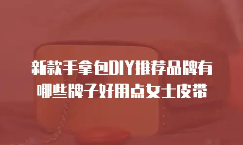 新款手拿包DIY推荐品牌有哪些牌子好用点女士皮带