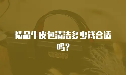 精品牛皮包清洁多少钱合适吗？