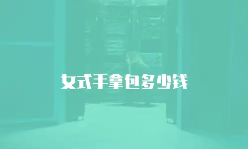 女式手拿包多少钱