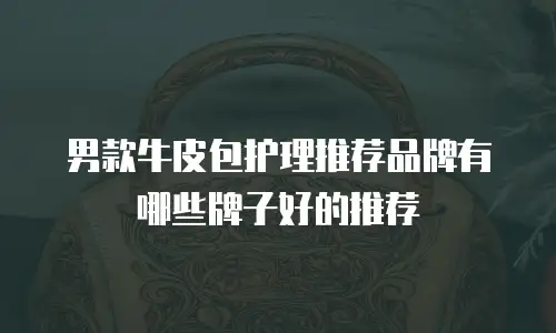 男款牛皮包护理推荐品牌有哪些牌子好的推荐