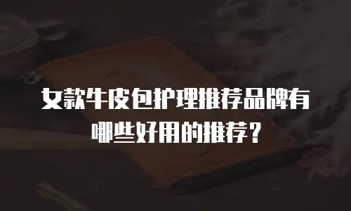女款牛皮包护理推荐品牌有哪些好用的推荐？