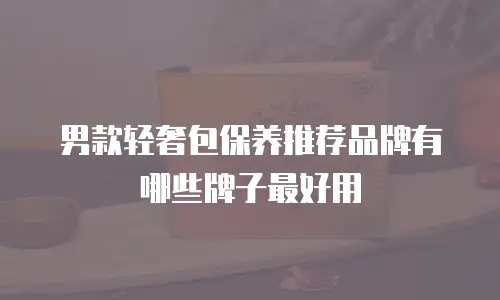 男款轻奢包保养推荐品牌有哪些牌子最好用