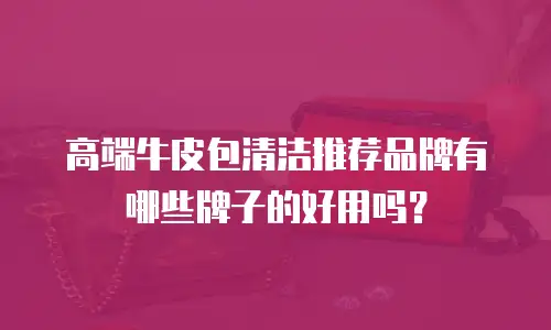 高端牛皮包清洁推荐品牌有哪些牌子的好用吗？