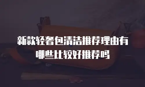 新款轻奢包清洁推荐理由有哪些比较好推荐吗