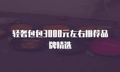 轻奢包包3000元左右推荐品牌精选