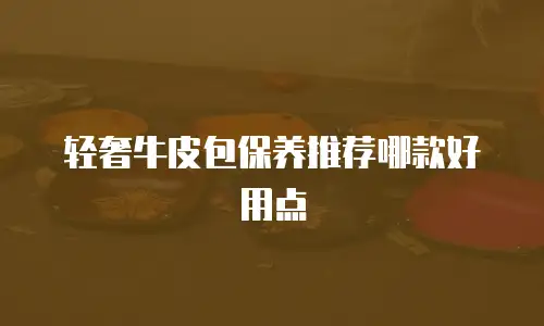 轻奢牛皮包保养推荐哪款好用点