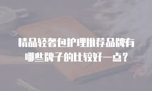精品轻奢包护理推荐品牌有哪些牌子的比较好一点？