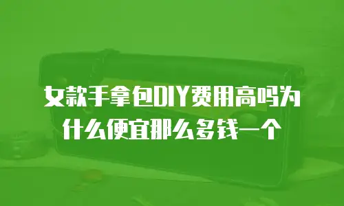 女款手拿包DIY费用高吗为什么便宜那么多钱一个
