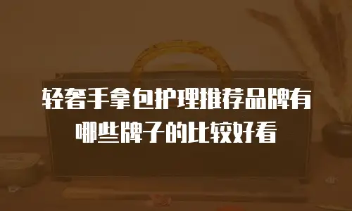 轻奢手拿包护理推荐品牌有哪些牌子的比较好看