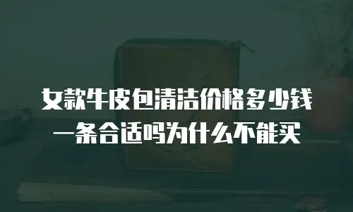女款牛皮包清洁价格多少钱一条合适吗为什么不能买
