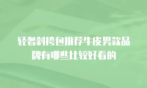 轻奢斜挎包推荐牛皮男款品牌有哪些比较好看的