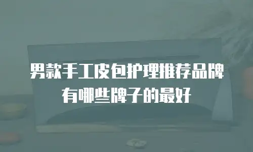 男款手工皮包护理推荐品牌有哪些牌子的最好