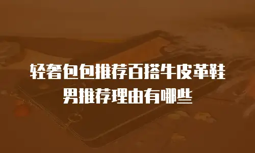 轻奢包包推荐百搭牛皮革鞋男推荐理由有哪些